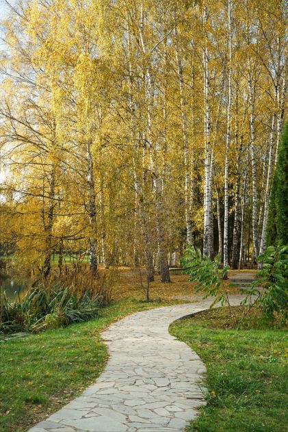 Новый фахверк в кп Княжье Озеро