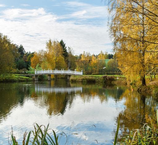 Участок в кп Княжье Озеро