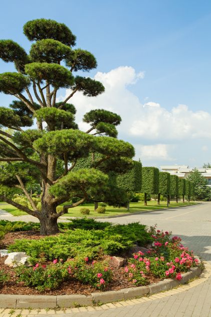 Дом под отделку в Ренессанс парк