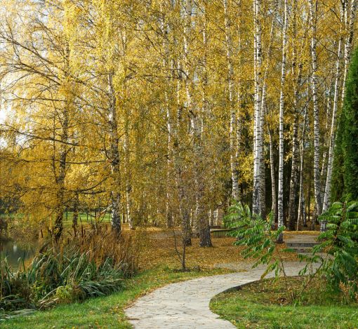 Княжье Озеро