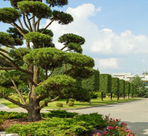 Ренессанс Парк