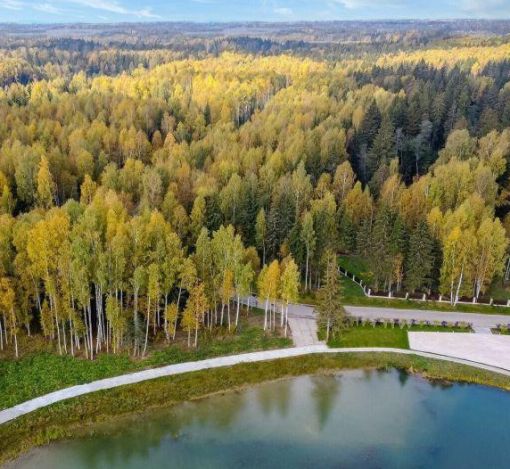 Лесной участок в Эмеральд Вилладж