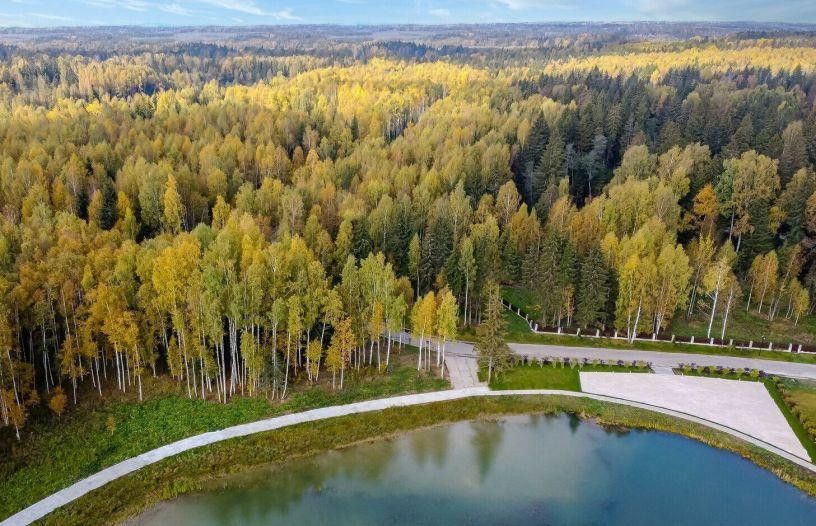 Лесной участок в Эмеральд Вилладж