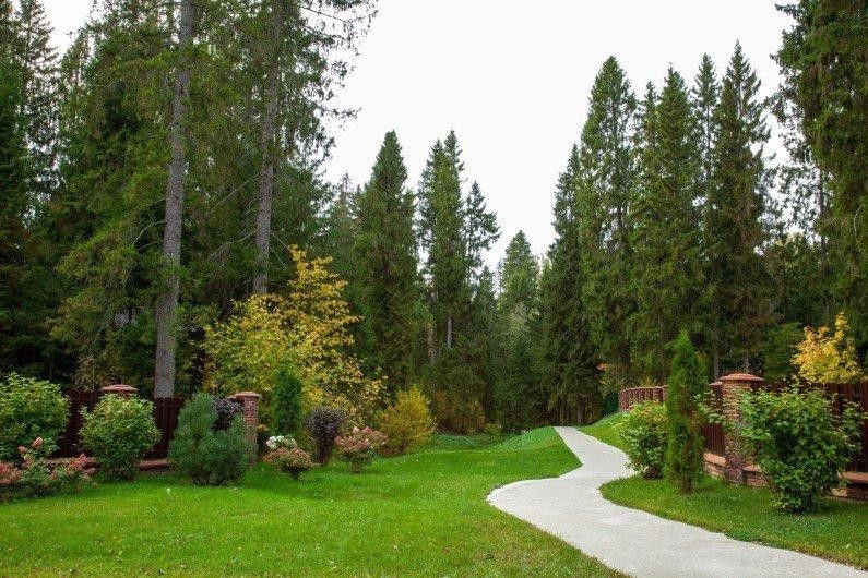 Лесной участок в Эмеральд Вилладж