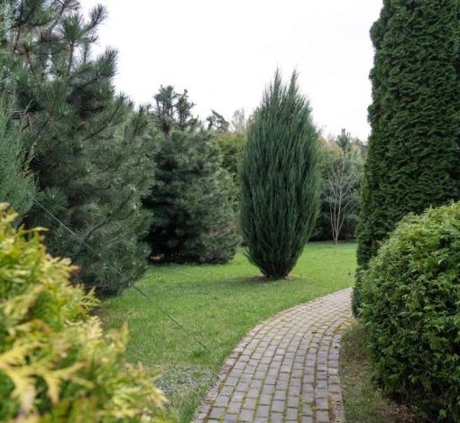 Дом в КП Княжье озеро