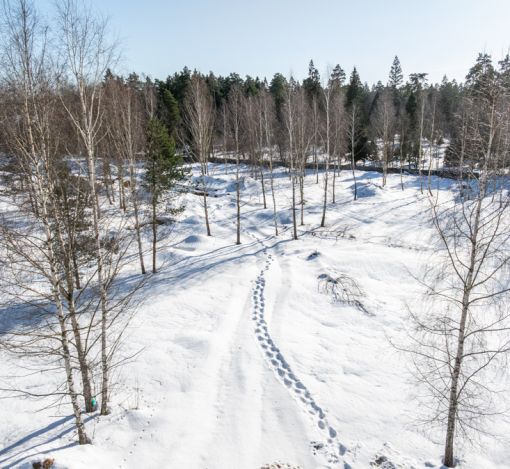 Участок в КП Бузланово