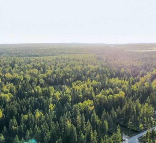 Участок у воды в КП Ели Эстейт