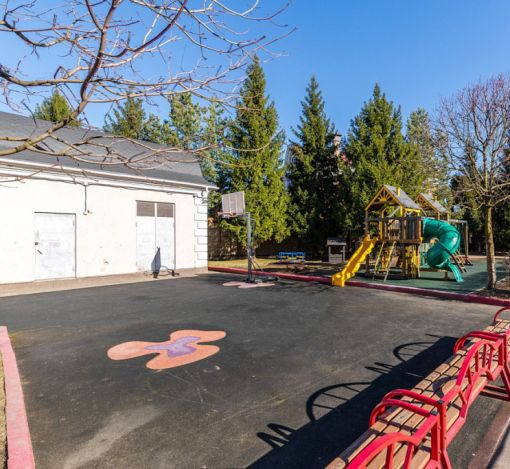 Дом в Новахово со своими соснами