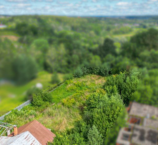 Дмитровское