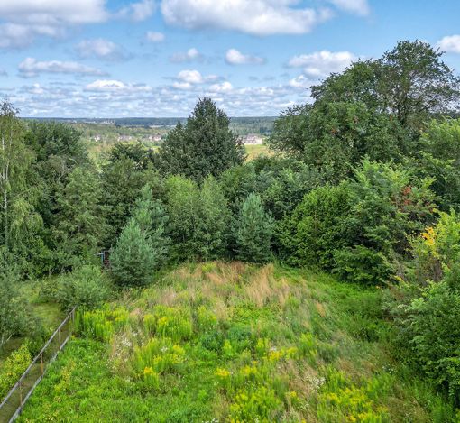 Дмитровское