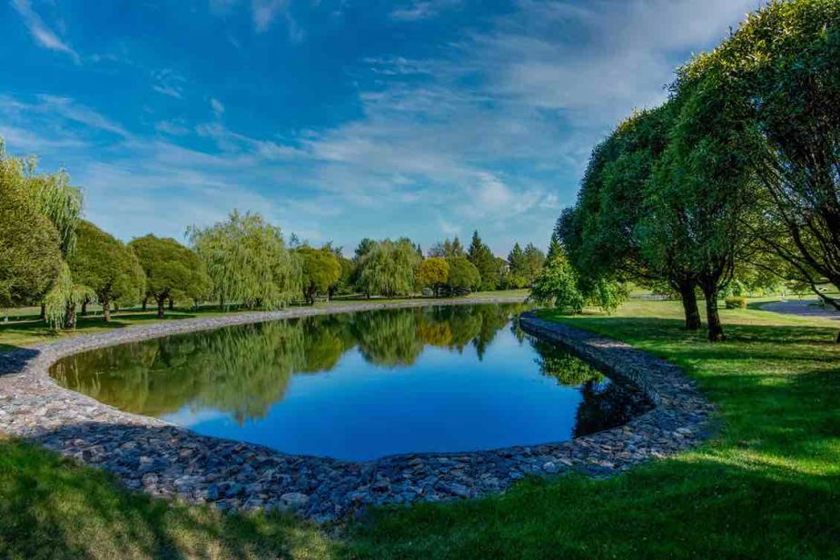 Миллениум Парк