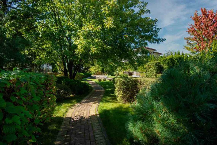 Миллениум Парк