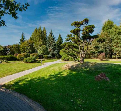 Миллениум Парк