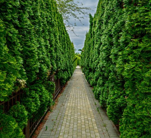 Таунхаус в КП Парк Авеню