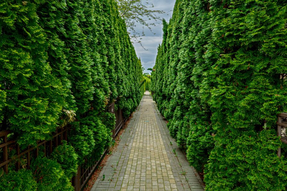 Таунхаус в КП Парк Авеню