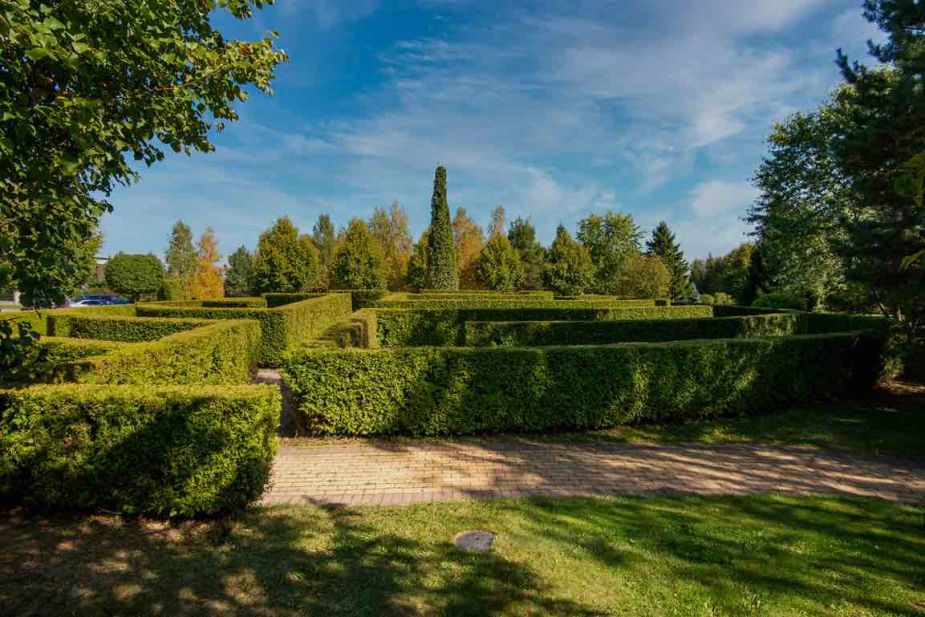 Миллениум Парк