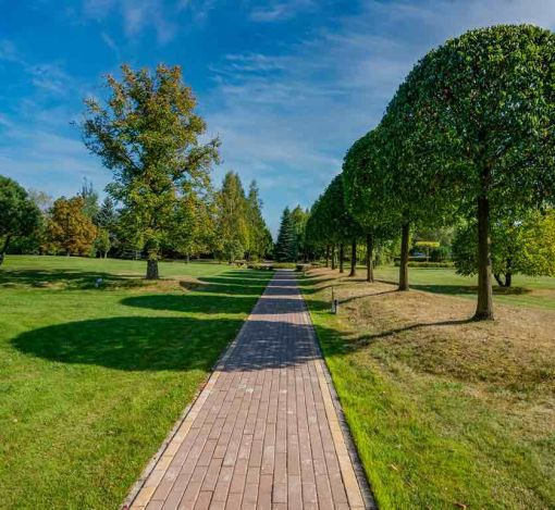 Миллениум Парк