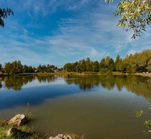 Миллениум Парк