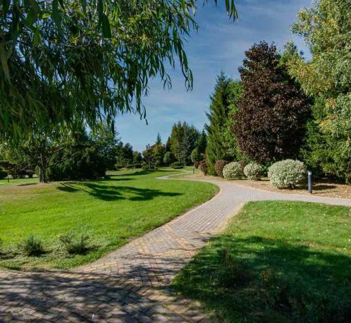 Миллениум Парк