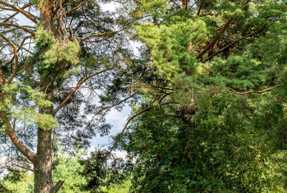 Участок в КП Озерна Резиденс