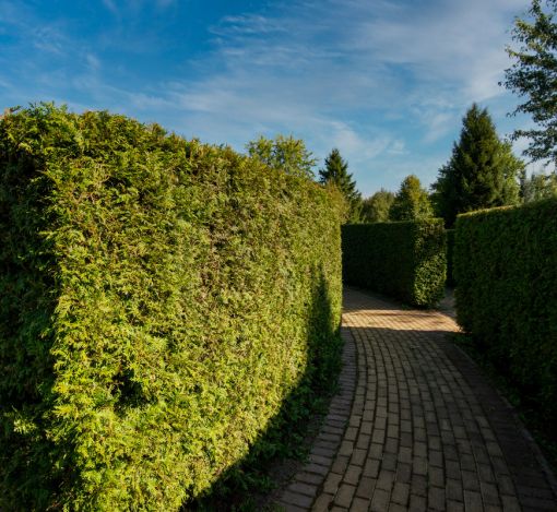 Новый дом в КП Миллениум Парк