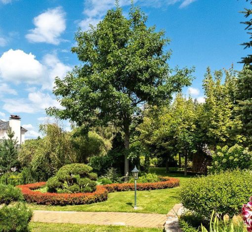 Резиденция в КП Павлово-1