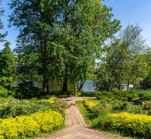 Лесной участок в КП Риверсайд