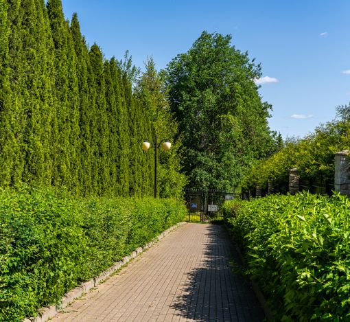 Лесной участок в КП Риверсайд