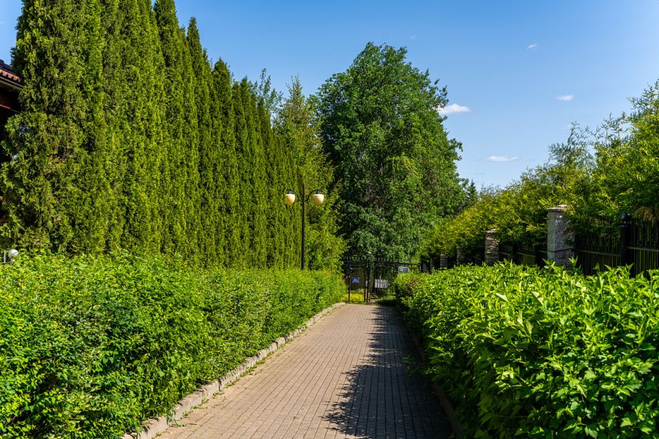 Лесной участок в КП Риверсайд