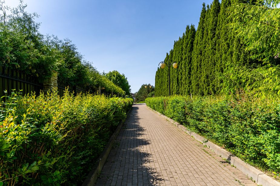 Лесной участок в КП Риверсайд