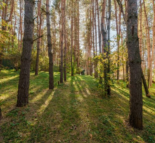 Участок у воды в Лобаново