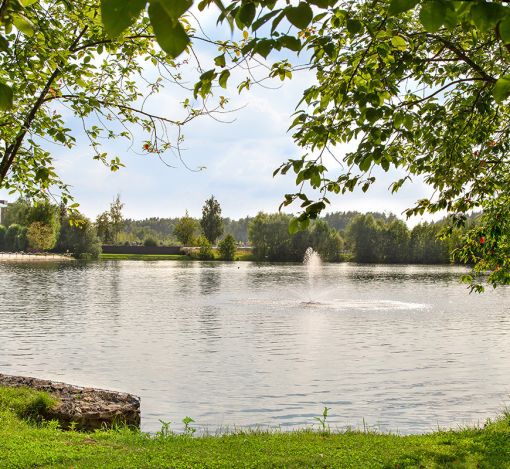 Покровский