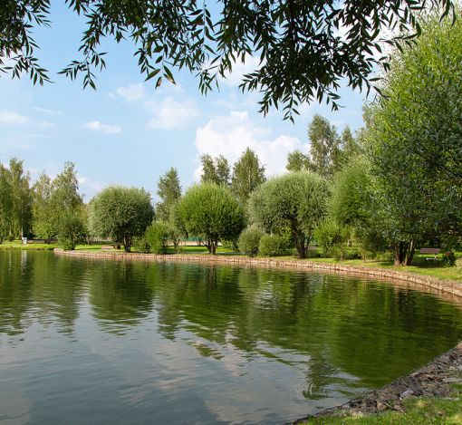 Покровский