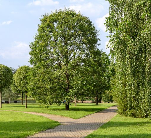 Покровский