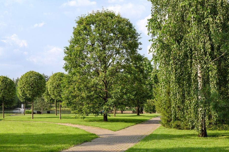 Покровский