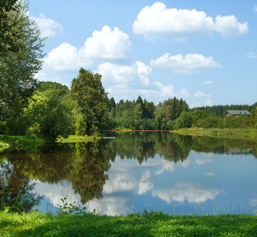 Дом у леса в поселке Риверсайд
