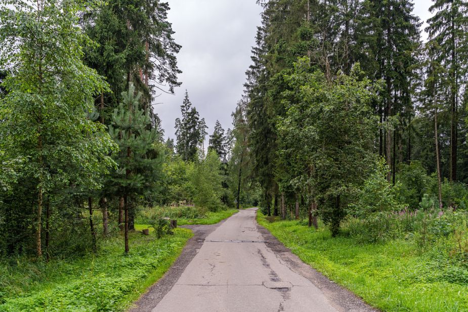Дом у леса в послеке Ивановское