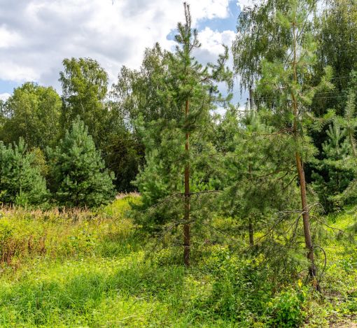 Озерна Резиденс