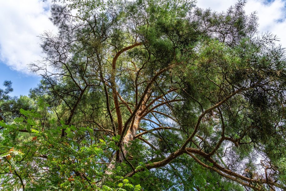 Участок в КП Озерна Резиденс