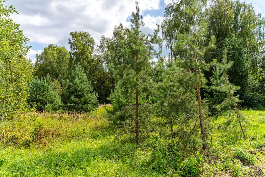 Участок в КП Озерна Резиденс