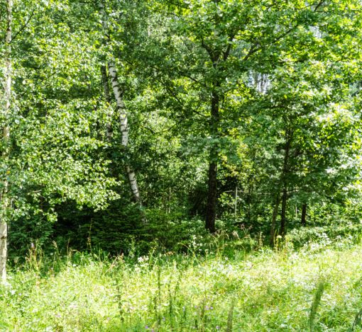 Дом в КП Петровские Аллеи