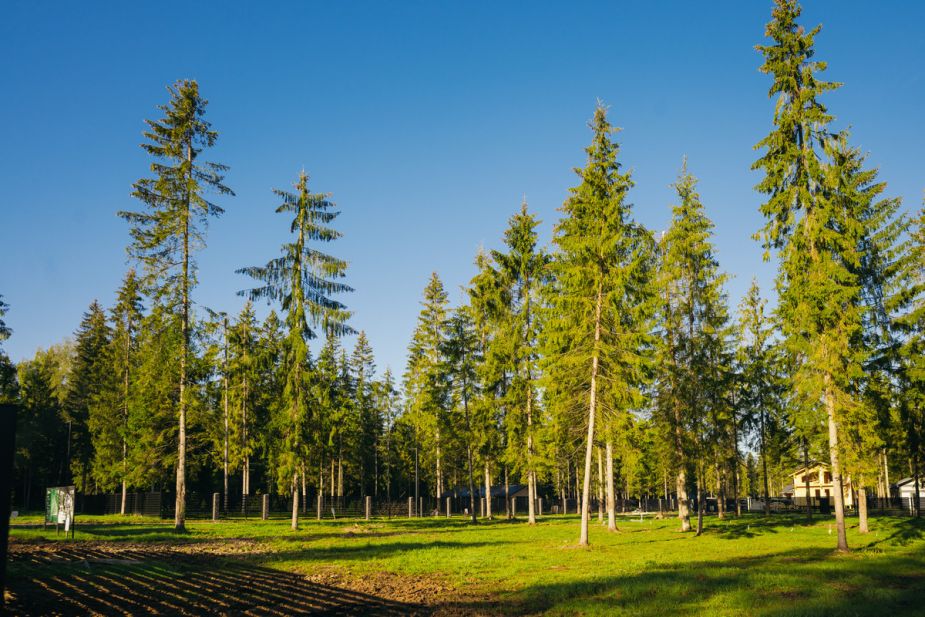 Участок у воды в КП Ели Эстейт