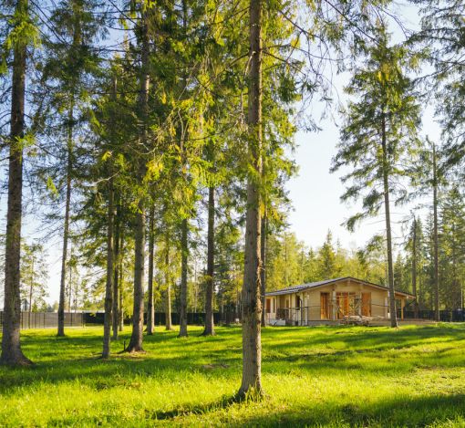 Участок у воды в КП Ели Эстейт