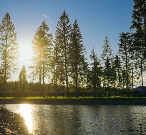 Участок у воды в КП Ели Эстейт