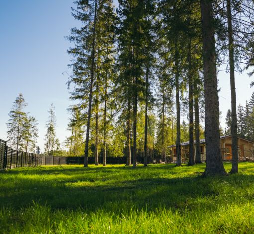 Лесной участок в КП Ели Эстейт