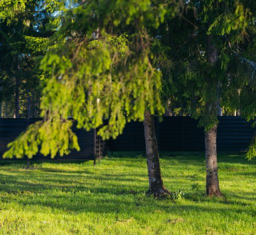 Лесной участок в КП Ели Эстейт