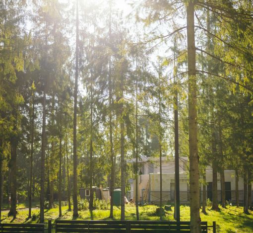 Лесной участок в КП Ели Эстейт