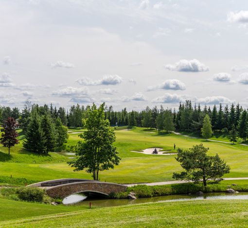 Дом без отделки в Агаларов Эстейт