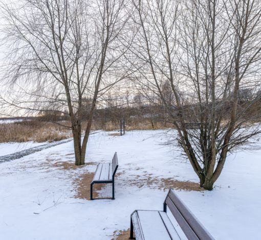 Рузские дачи