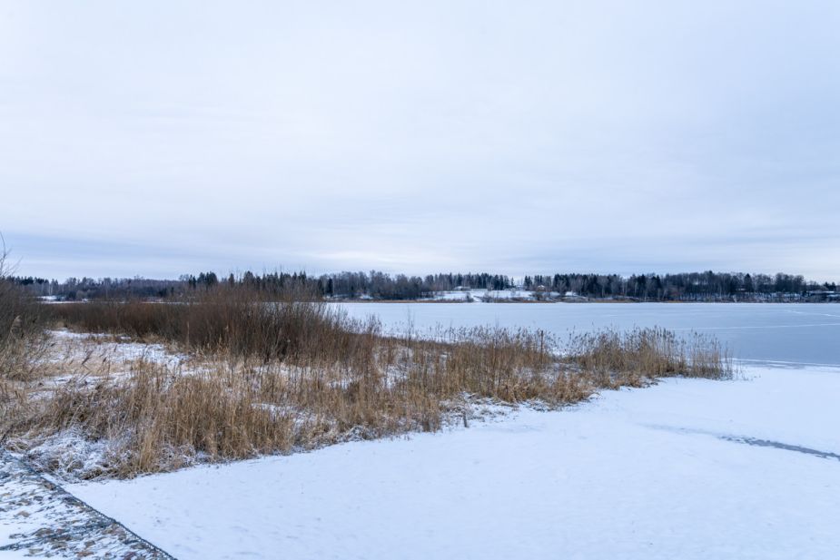 Рузские дачи